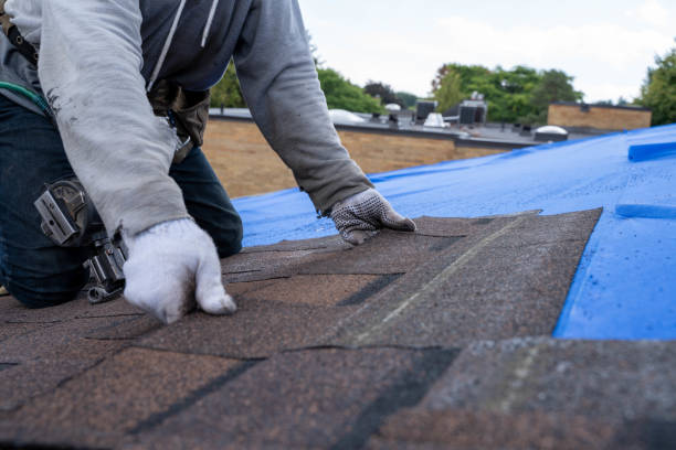 Best Local Roofing Companies  in Thornville, OH